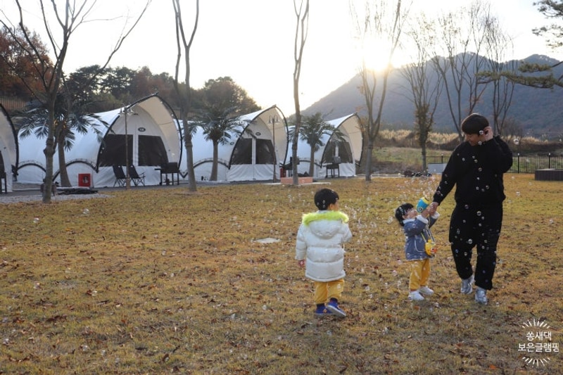 청주근교 글램핑장 팜스테이 가을나들이 보은 글램핑추천