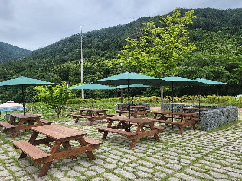 합천 씨파크 시설 사진 1