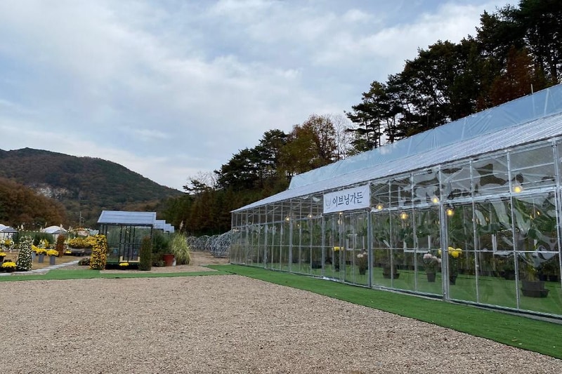 더힐링식물원 야영장 시설 사진 6