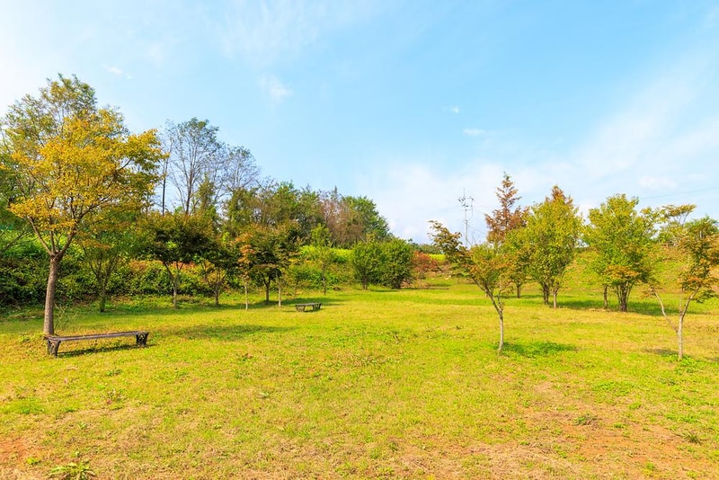 황토둥지캠핑체험장 시설 사진 2