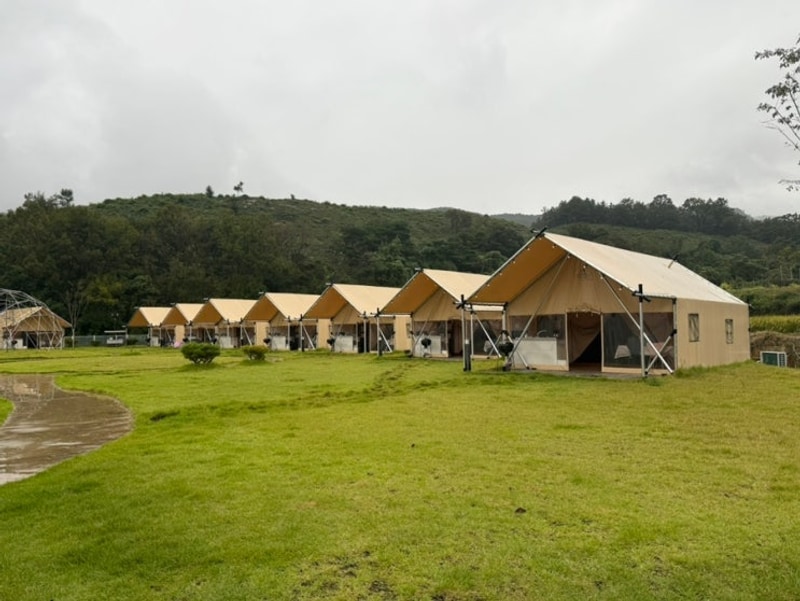 [경북/왜관] 대구 근교 글램핑 “힐포레” 칠곡 왜관에서...