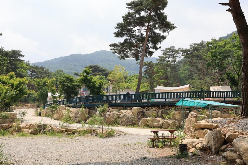 팜스프링 야영장 시설 사진 6