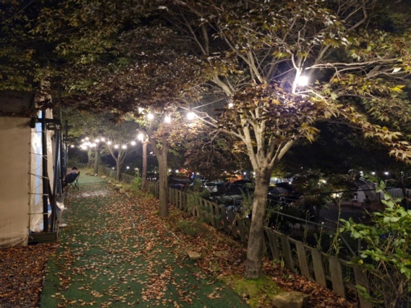 영월 무릉도원면 요기는캠핑장 둘째 날