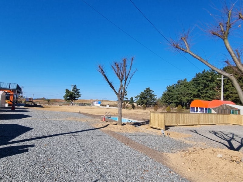 태안 신두리오렌지 캠핑장에서 보낸 2박3일