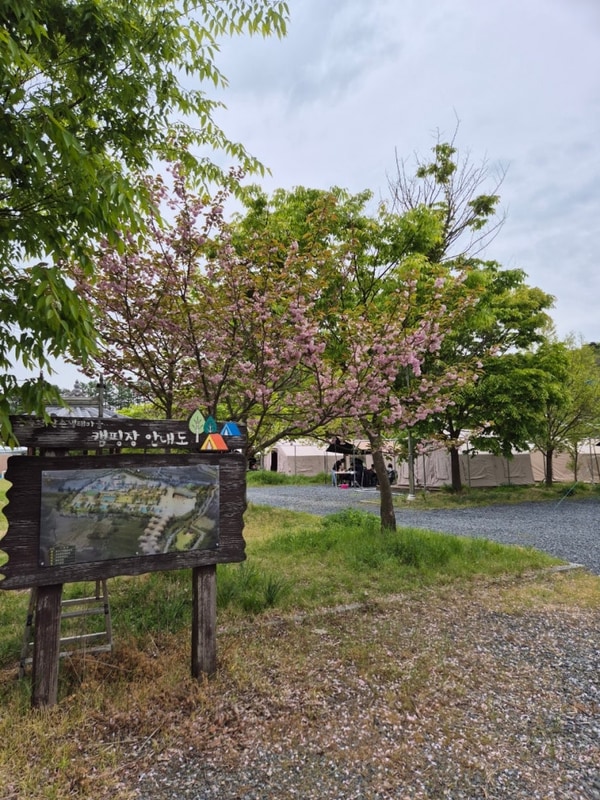 [충남 보령] 그리고 캠핑장. (전북, 충남 근교 캠핑장)