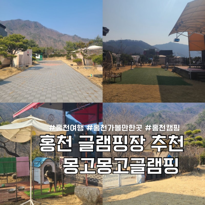 홍천 여행 글램핑장 추천 몽고몽고글램핑