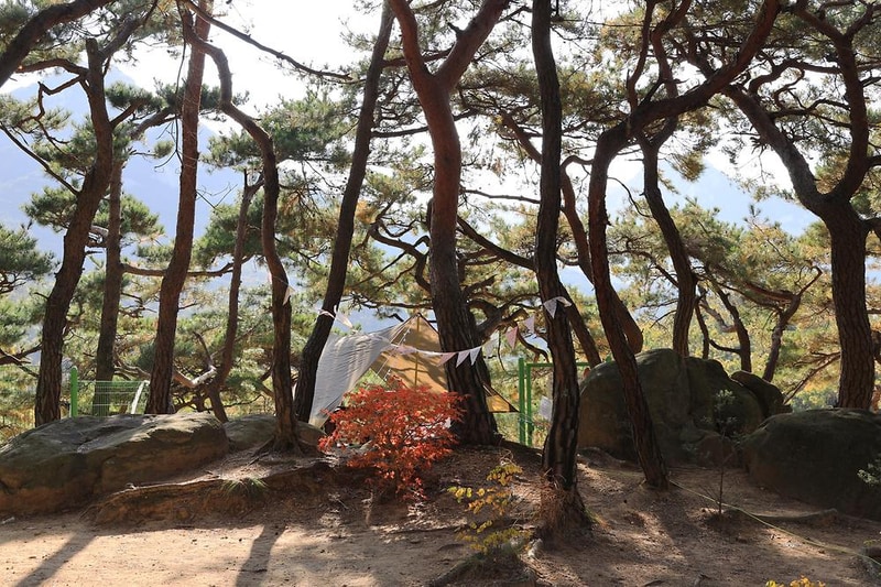 북한산농바위캠핑장 시설 사진 2