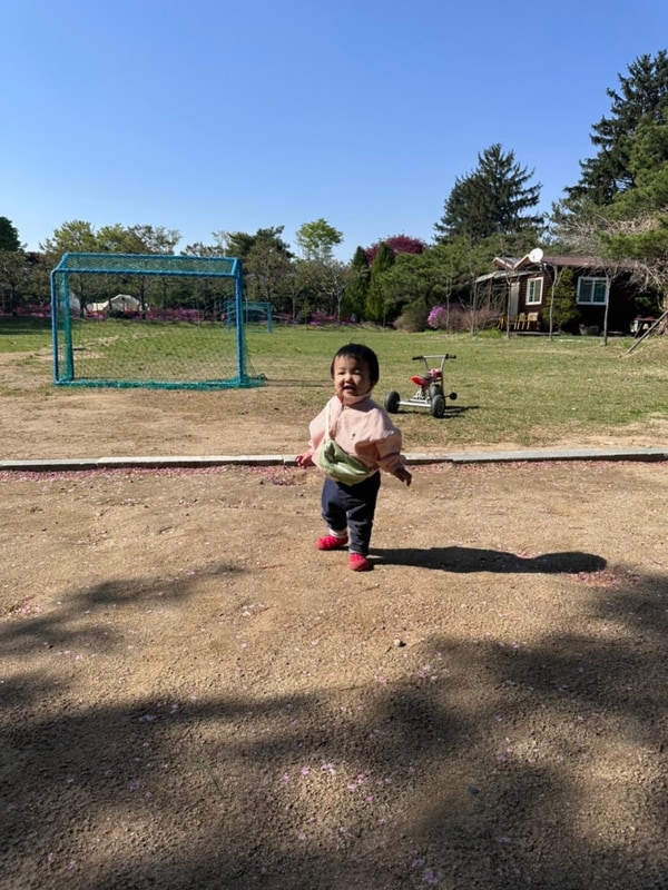 전라도 무주캠핑장 수영장도... 넓은 해밀캠핑장 돌아기랑...