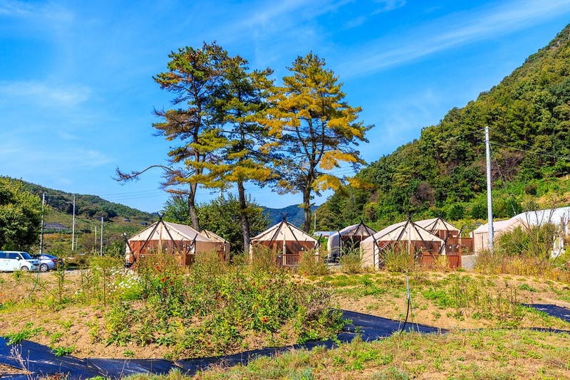 일상화 글램핑 시설 사진 20