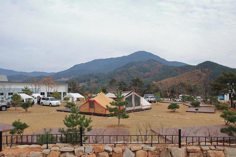 캠프 안단테 대표 사진