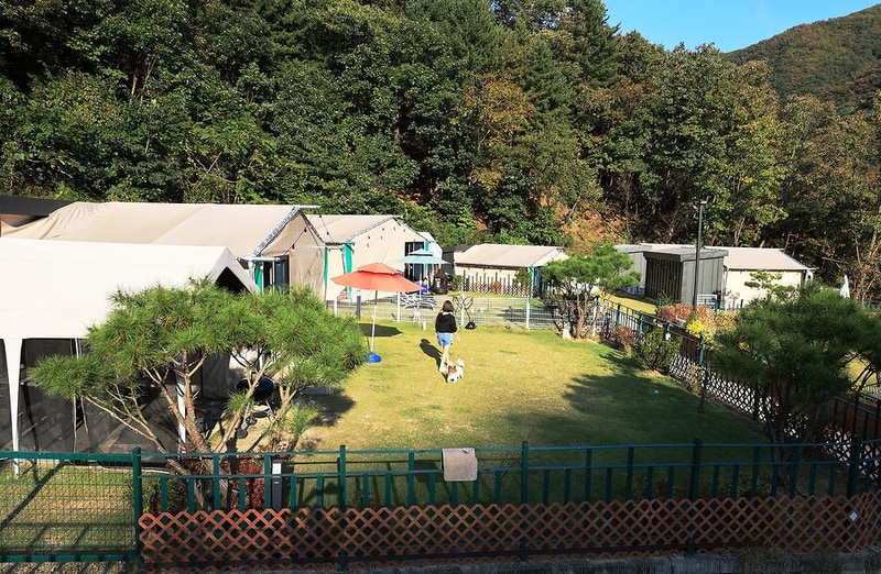 캠프위드펫&애견글램핑 시설 사진 7
