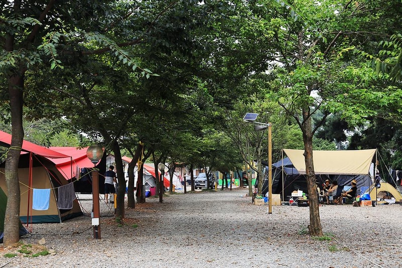 대부도나라캠핑장 시설 사진 1