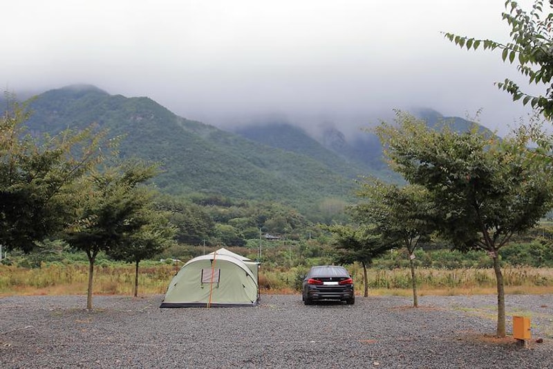 캠프원 관광농원 대표 사진