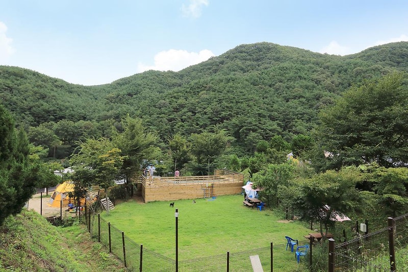 트리독스 애견전용캠핑장 시설 사진 11