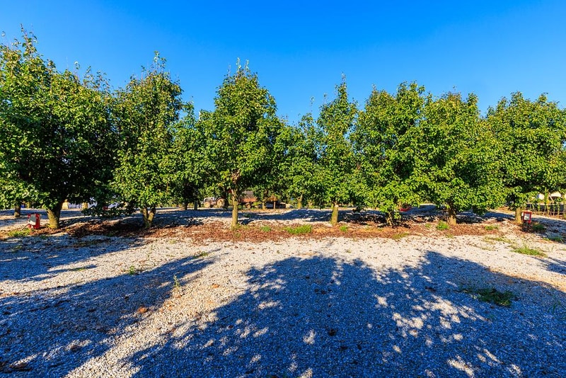 팜앤투어 캠핑장 시설 사진 14