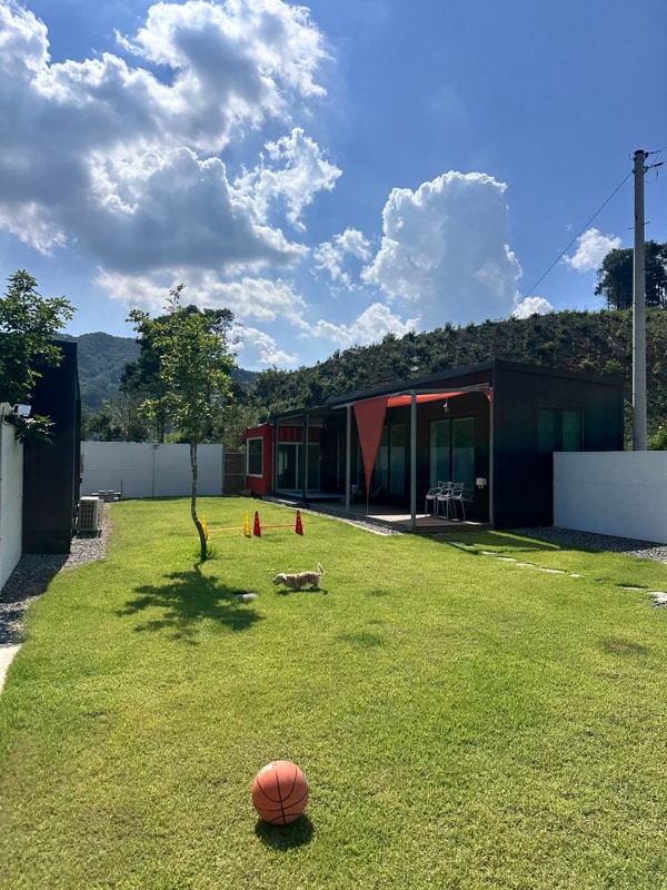 강원도 애견동반 여행 횡성 도기도기캠프 방문 만족 후기