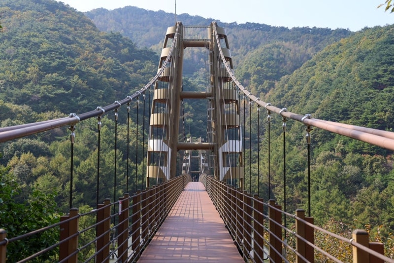 증평 좌구산 자연휴양림 출렁다리 & 충북 증평 좌구산 오토 캠핑장