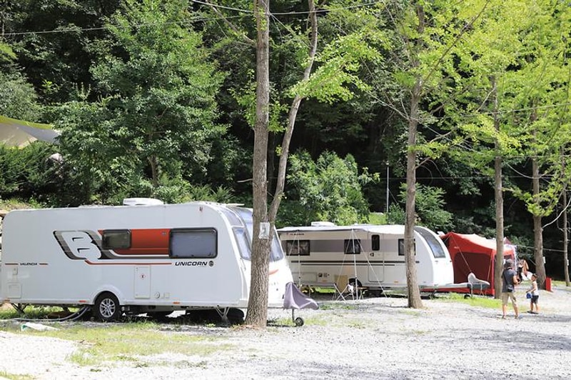 피노키오관광농원 야영장 대표 사진