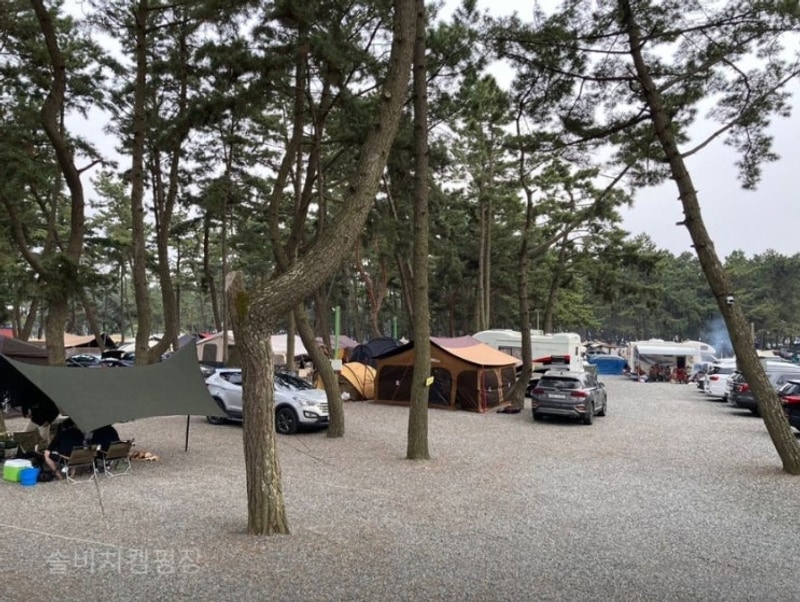 태안캠핑장 솔비치 캠핑장 가족캠핑하기좋은곳