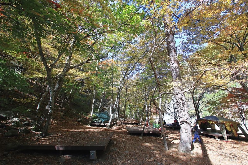 통고산 자연휴양림야영장 시설 사진 14