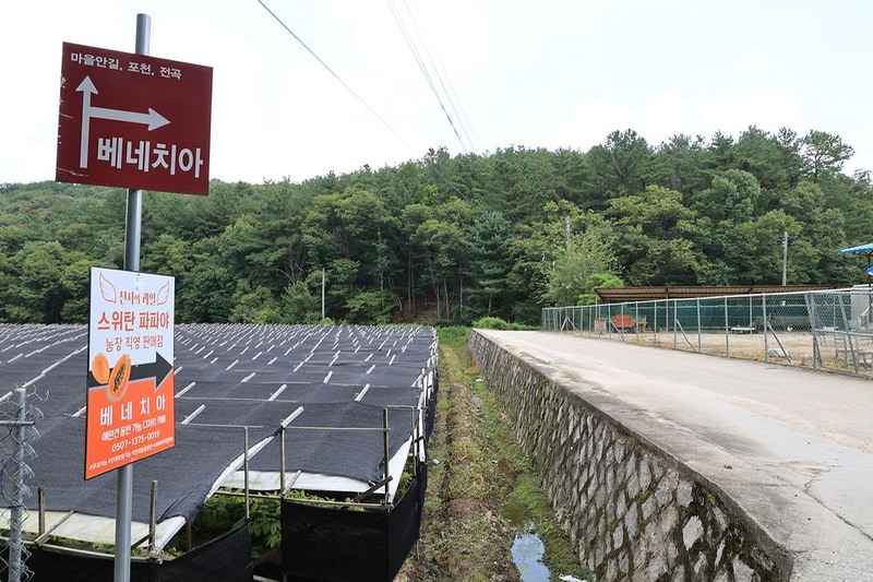 베네치아캠핑장 시설 사진 4