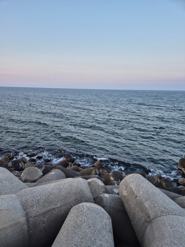 일출 맛집! 강릉 바다내음캠핑장