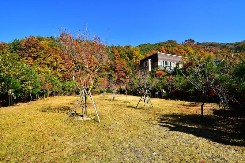 달자캠핑장 시설 사진 15