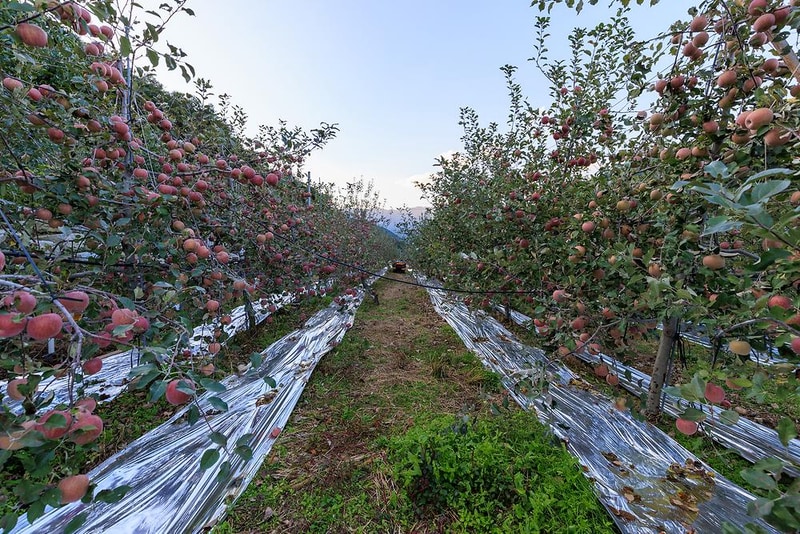 힐링스토리펜션야영장 시설 사진 12