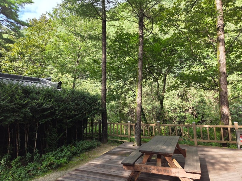 [캠핑]화천 만산동 국민여가 캠핑