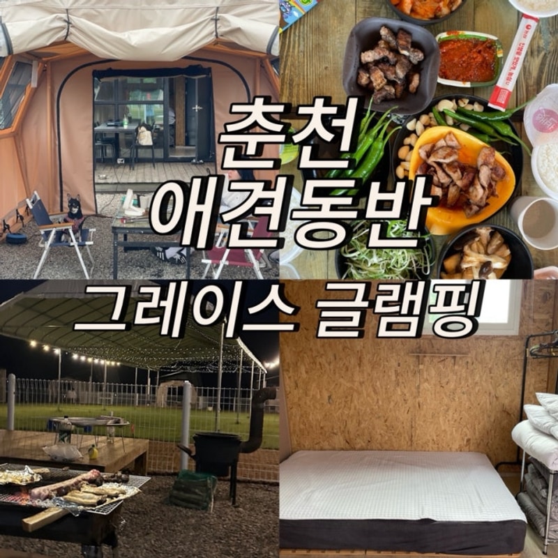 춘천 애견 동반 캠핑장 그레이스 글램핑 애견 수영장 픽업...
