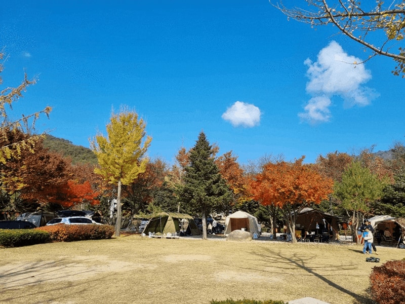 프라임 캠핑장의 절경과 함께하는 춘천 감성캠핑 후기