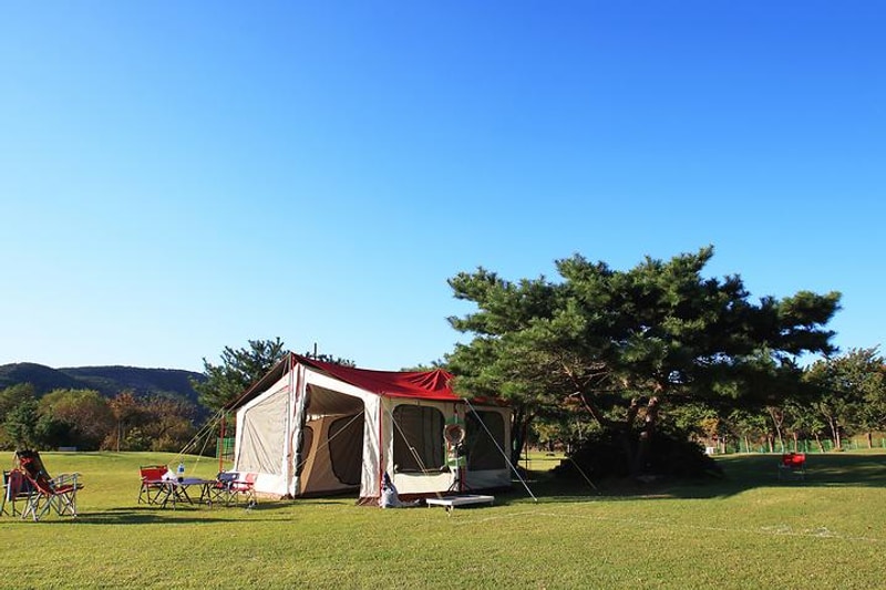 칠포오토캠핑장 대표 사진