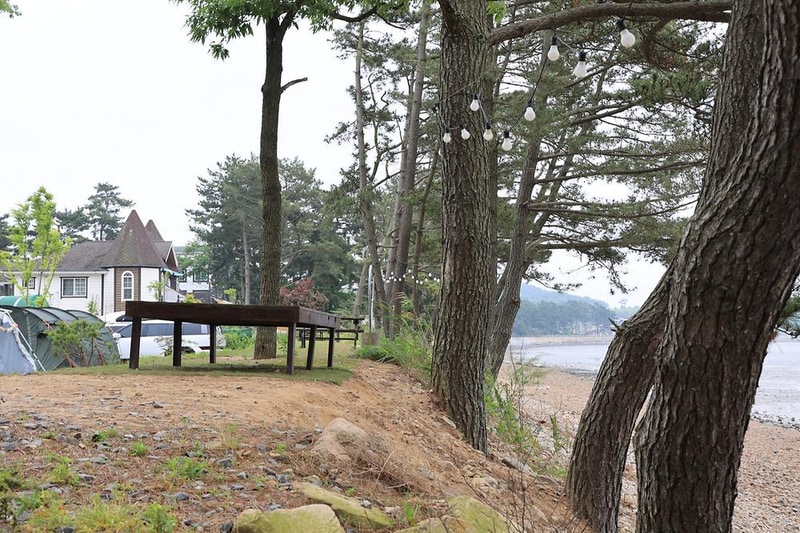 체로키캠핑장 (Cherokeycamp) 시설 사진 13