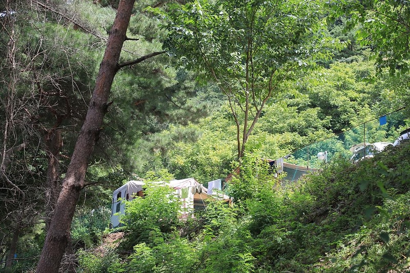 내린천솔밭힐링캠핑장 시설 사진 5