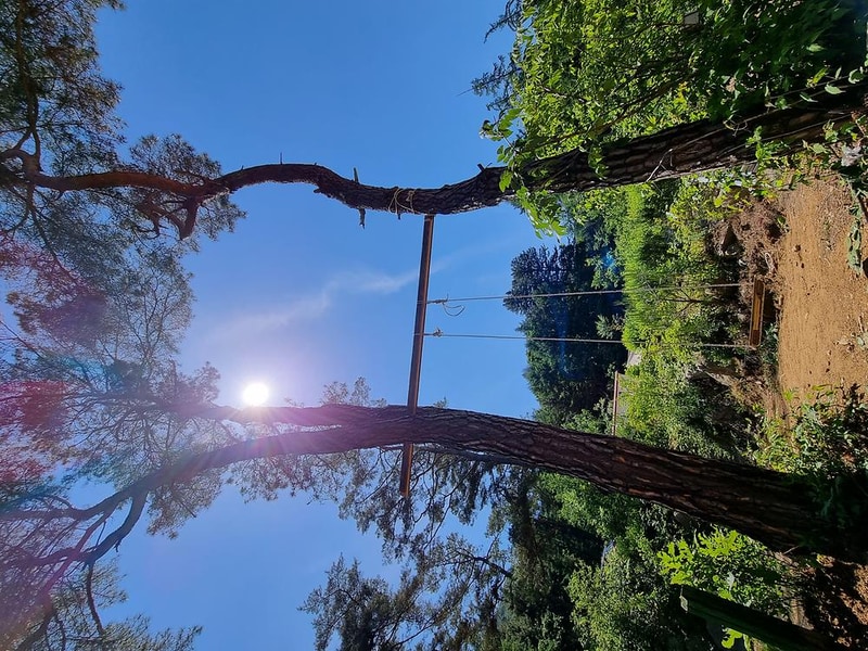 두미리관광농원 시설 사진 11