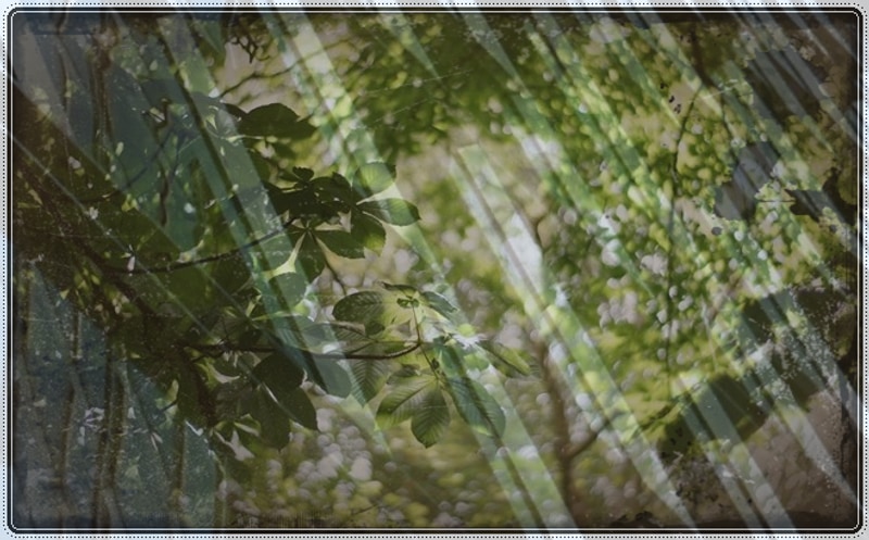 익산시 주말나들이 웅포관광지 캠핑장