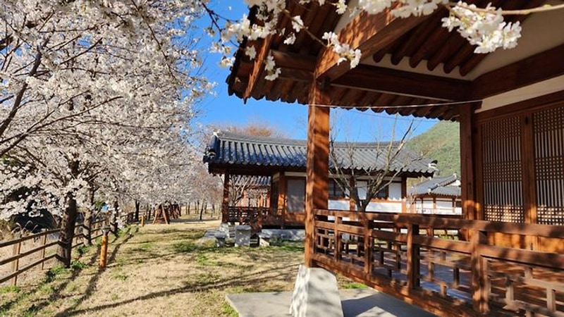 농월정오토캠핑장 대표 사진