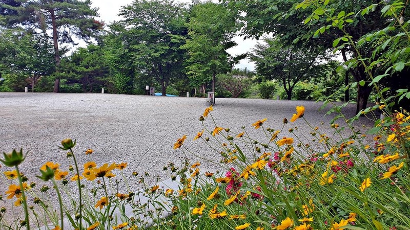 안성비봉산 캠핑장 시설 사진 22