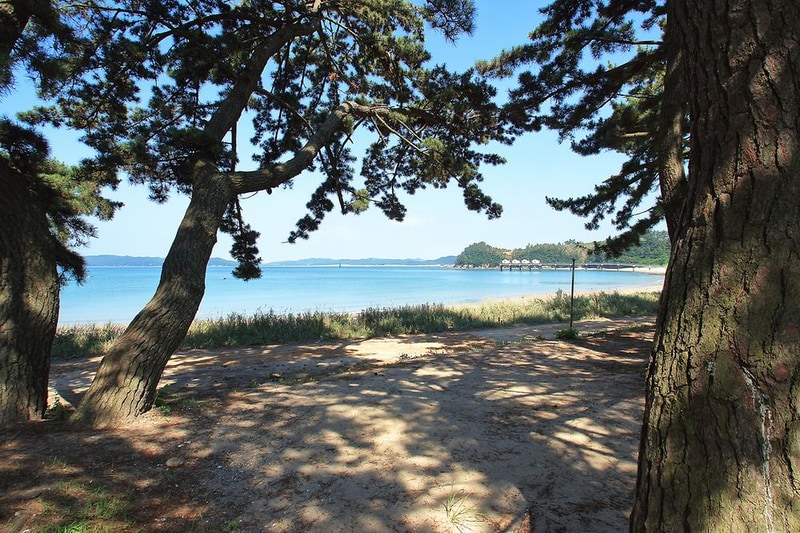 이태백 야영장 시설 사진 7