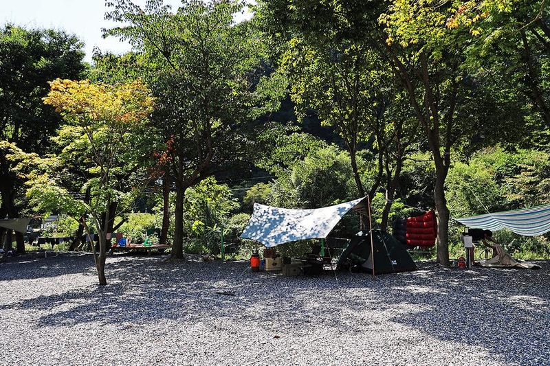 새솔캠핑장&펜션 시설 사진 6