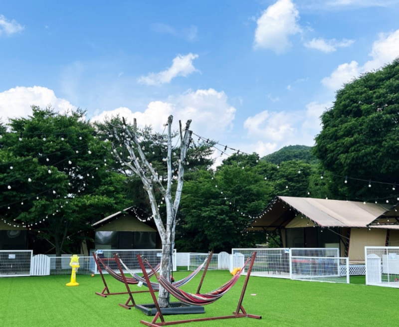 포천 백운계곡캠핑장 숙박&캠프닉 완전정리, 객실 요금표까지