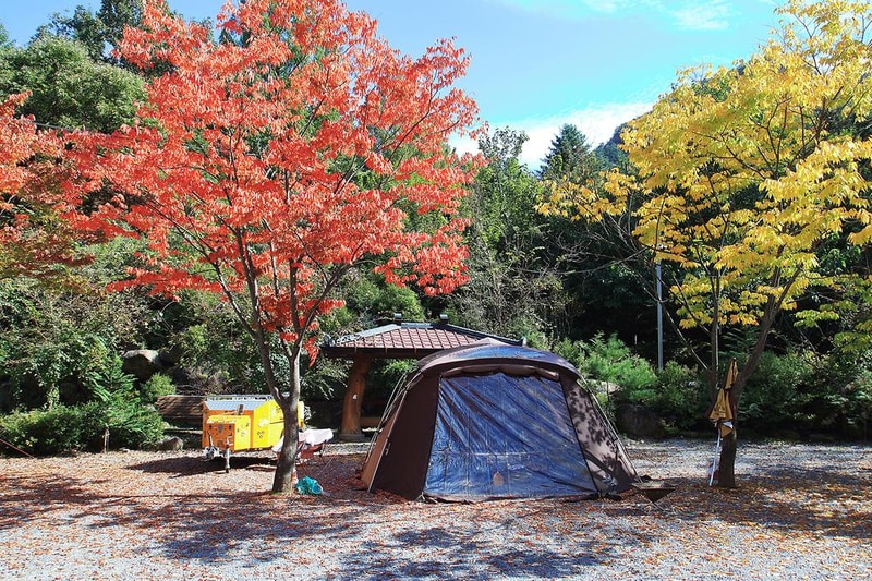 솔티야영장 시설 사진 12