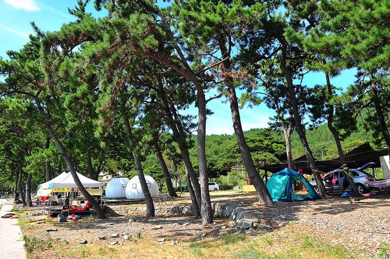 나로힐링캠핑장 대표 사진