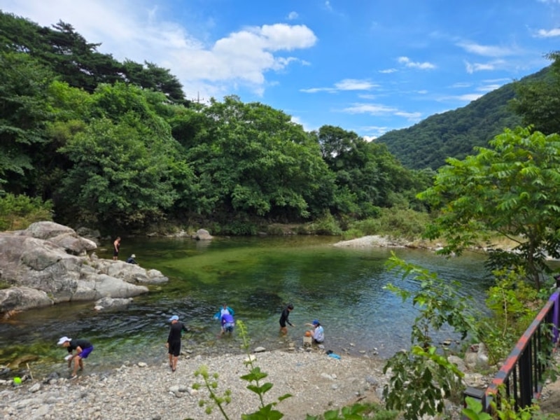 가평 명돈골캠핑장 계곡캠핑장 수영장캠핑장 루프팝텐트...