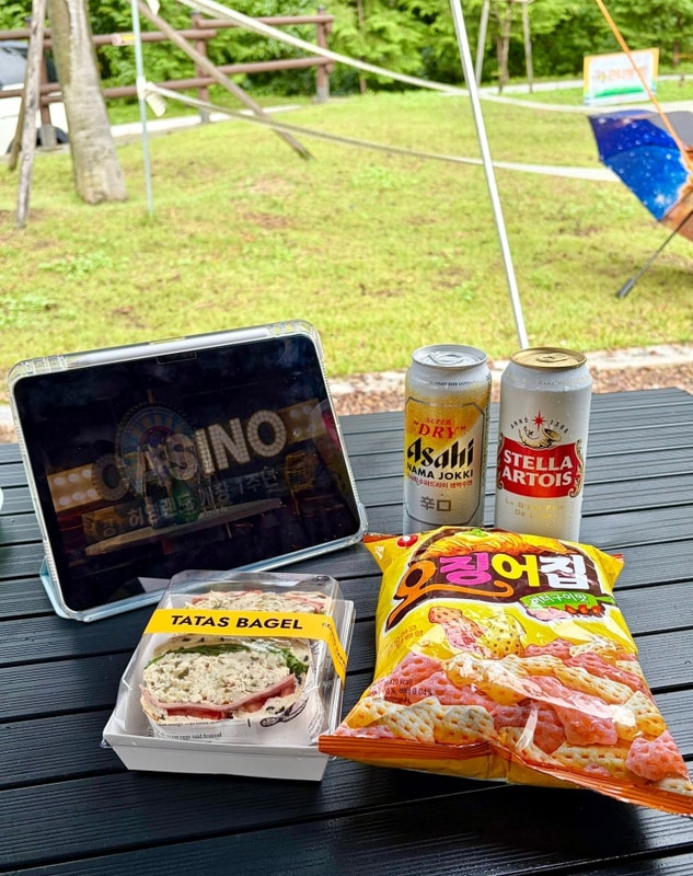 경북 성주_가야산 오토캠핑장 D1 후기️