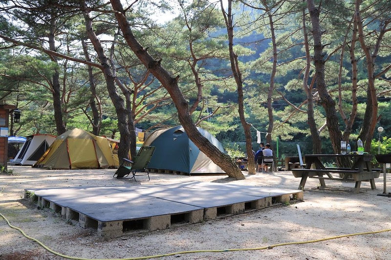 엄둔솔밭빌리지 시설 사진 8