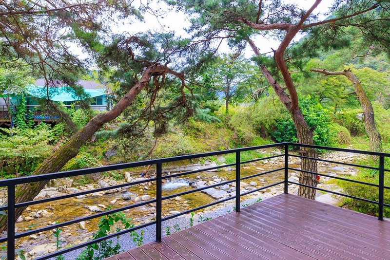 솔내음캠핑장 시설 사진 10