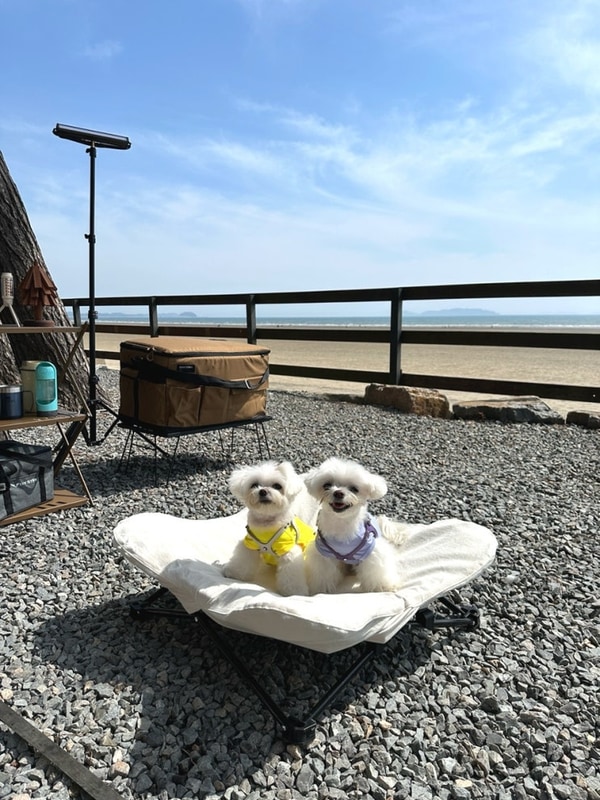 태안 몽산포 오토캠핌장 2구역 31번,애견동반 오션뷰 명당...