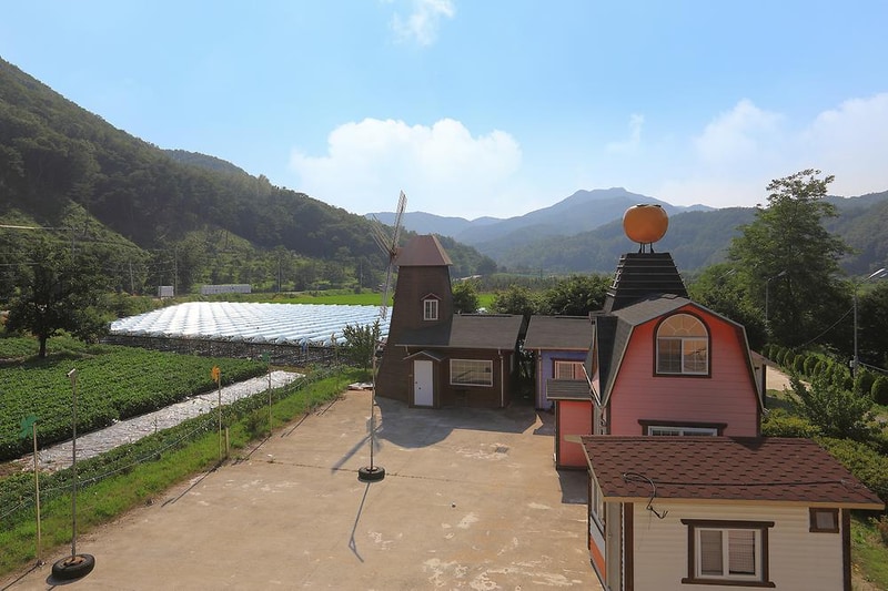 구마이오토캠핑장 시설 사진 1