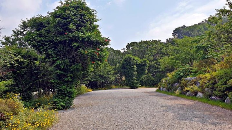 안성비봉산 캠핑장 대표 사진